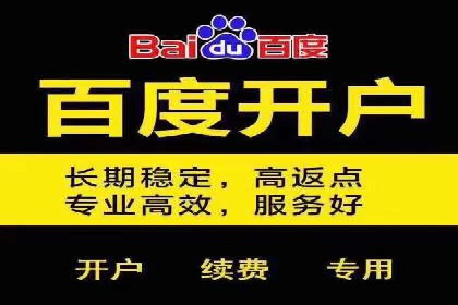 百度推广的秘诀：以某电商平台的成功经验为例
